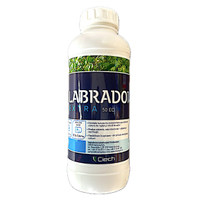 Labrador Extra 50EC 1L, erbicid selectiv, postemergent, foliar Ciech Agro, buruieni anuale si perene din cultura de rapita si sfecla de zahar